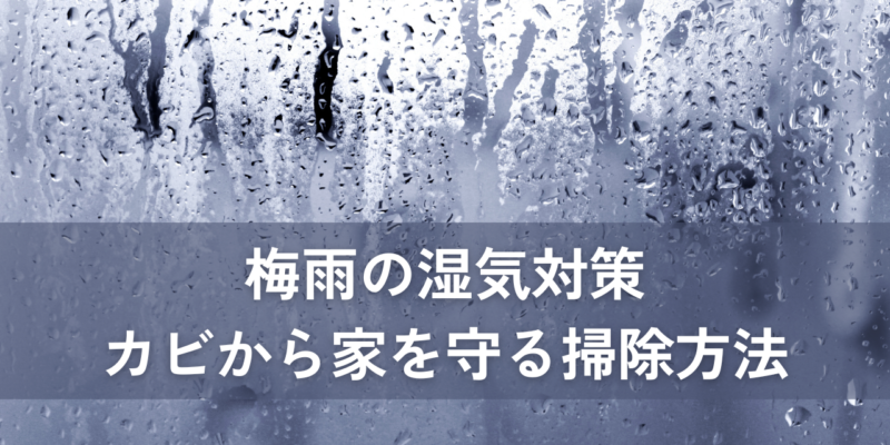 梅雨の湿気対策！カビから家を守る掃除方法 サムネイル